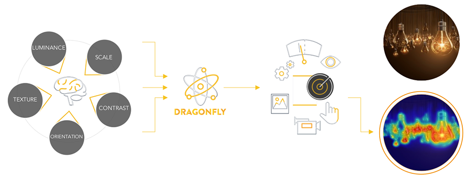 Introduction image